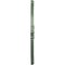 Ekena Millwork Benson Ceiling Medallion (Fits Canopies up to 8"), 13 1/8"OD x 8"ID x 5/8"P, Athenian Green CM13BNAGF - alternate 2